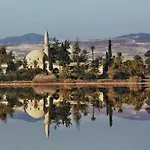 Alkaeos & Larnaca