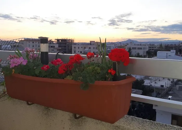 Alkaeos & Hotel Larnaca